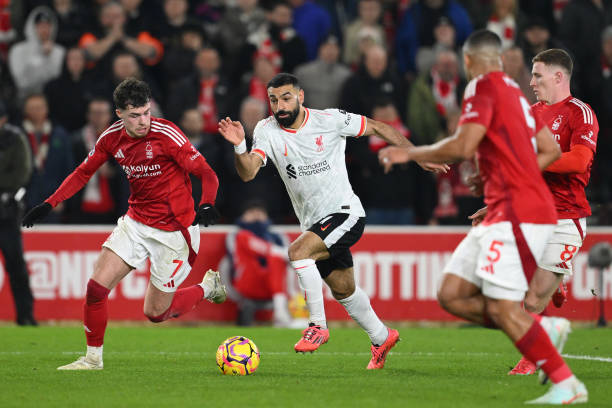 多特蒙德热 多特蒙德热